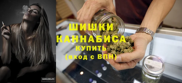 прущий лед Новозыбков