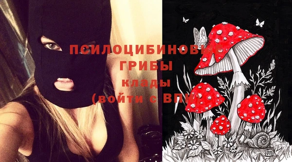 спиды Нея