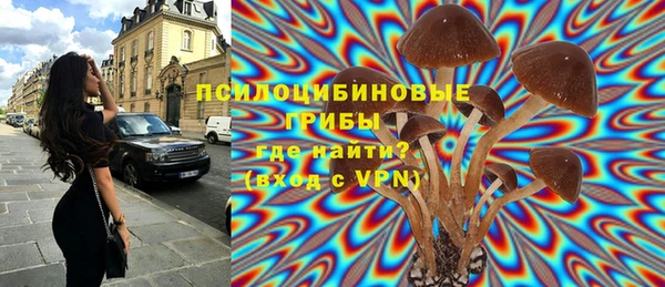 меф Нефтегорск