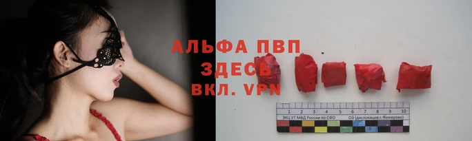 прущий лед Новозыбков