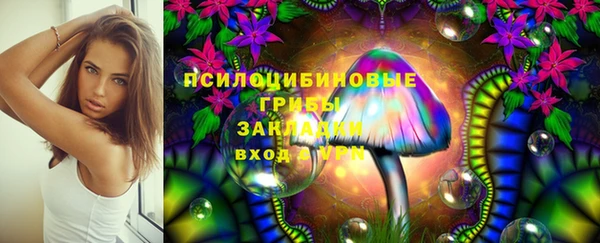 меф Нефтегорск