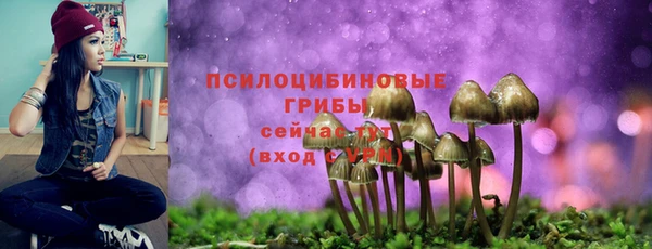 меф Нефтегорск