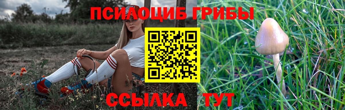 Галлюциногенные грибы MAGIC MUSHROOMS  Псилоцибиновые грибы мицелий  Мытищи 